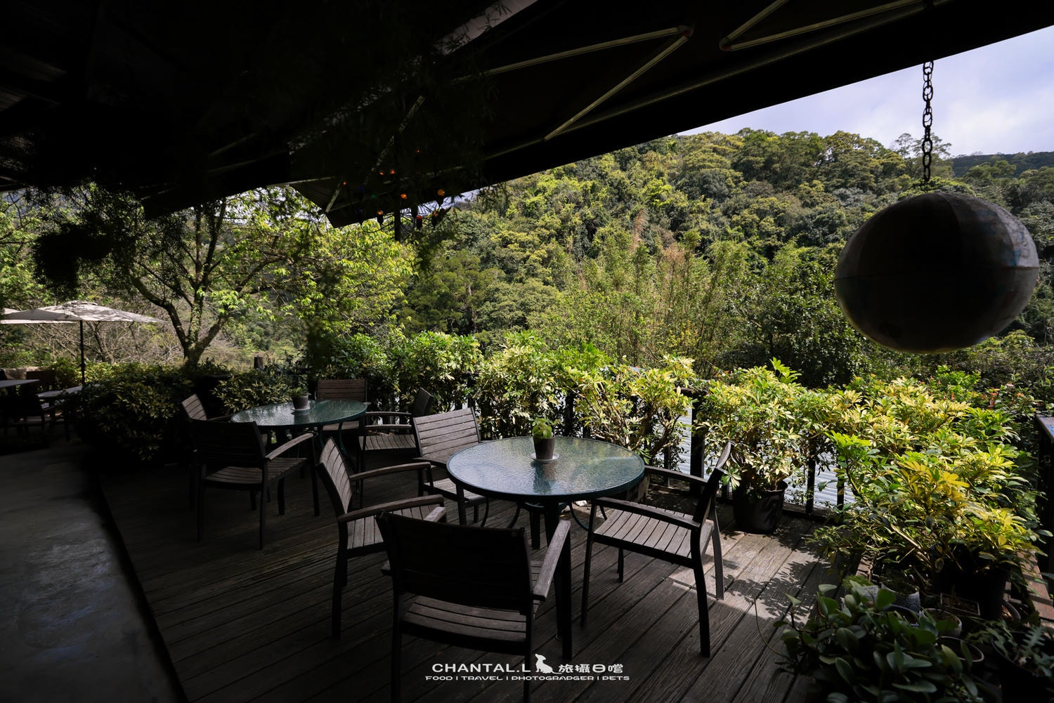 【士林區/陽明山】老件、植栽、山景，陽明山咖啡廳推薦 Savage Garden野人花園