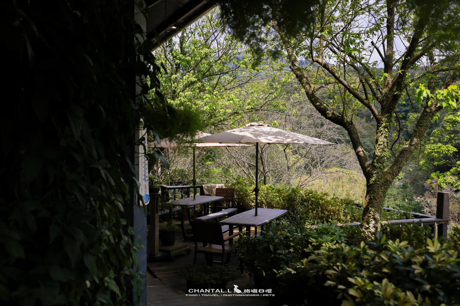 【士林區/陽明山】老件、植栽、山景，陽明山咖啡廳推薦 Savage Garden野人花園