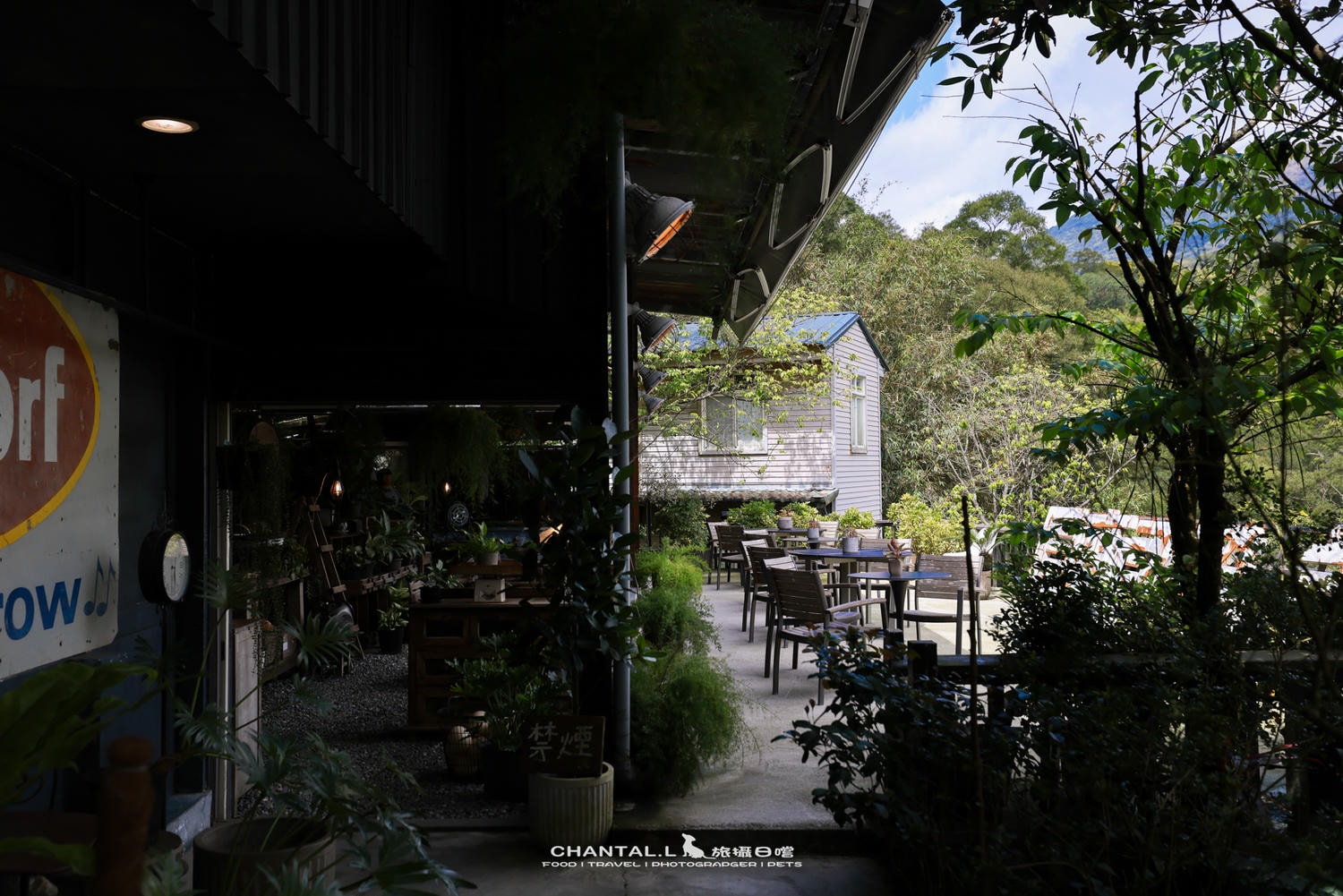 【士林區/陽明山】老件、植栽、山景，陽明山咖啡廳推薦 Savage Garden野人花園
