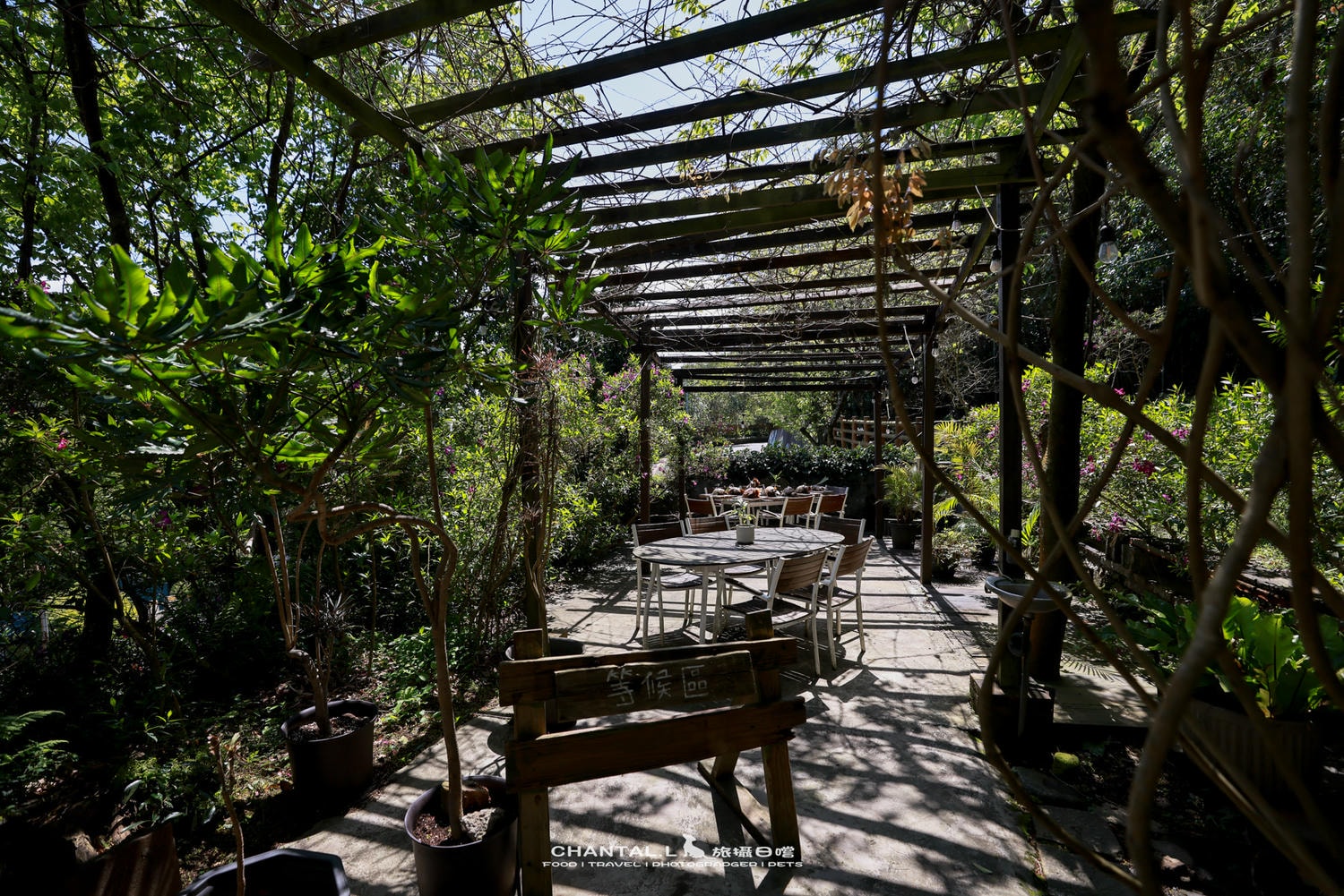 【士林區/陽明山】老件、植栽、山景，陽明山咖啡廳推薦 Savage Garden野人花園