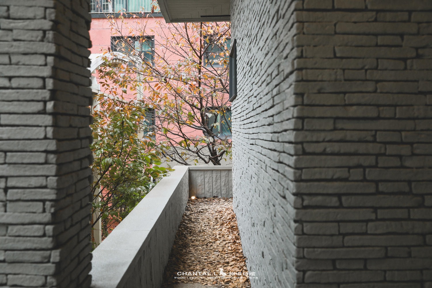2023 SEOUL|把農村搬進室內的主題咖啡廳-江南邑川里382(읍천리382) - 第10張圖 2023 SEOUL|把農村搬進室內的主題咖啡廳-江南邑川里382(읍천리382)