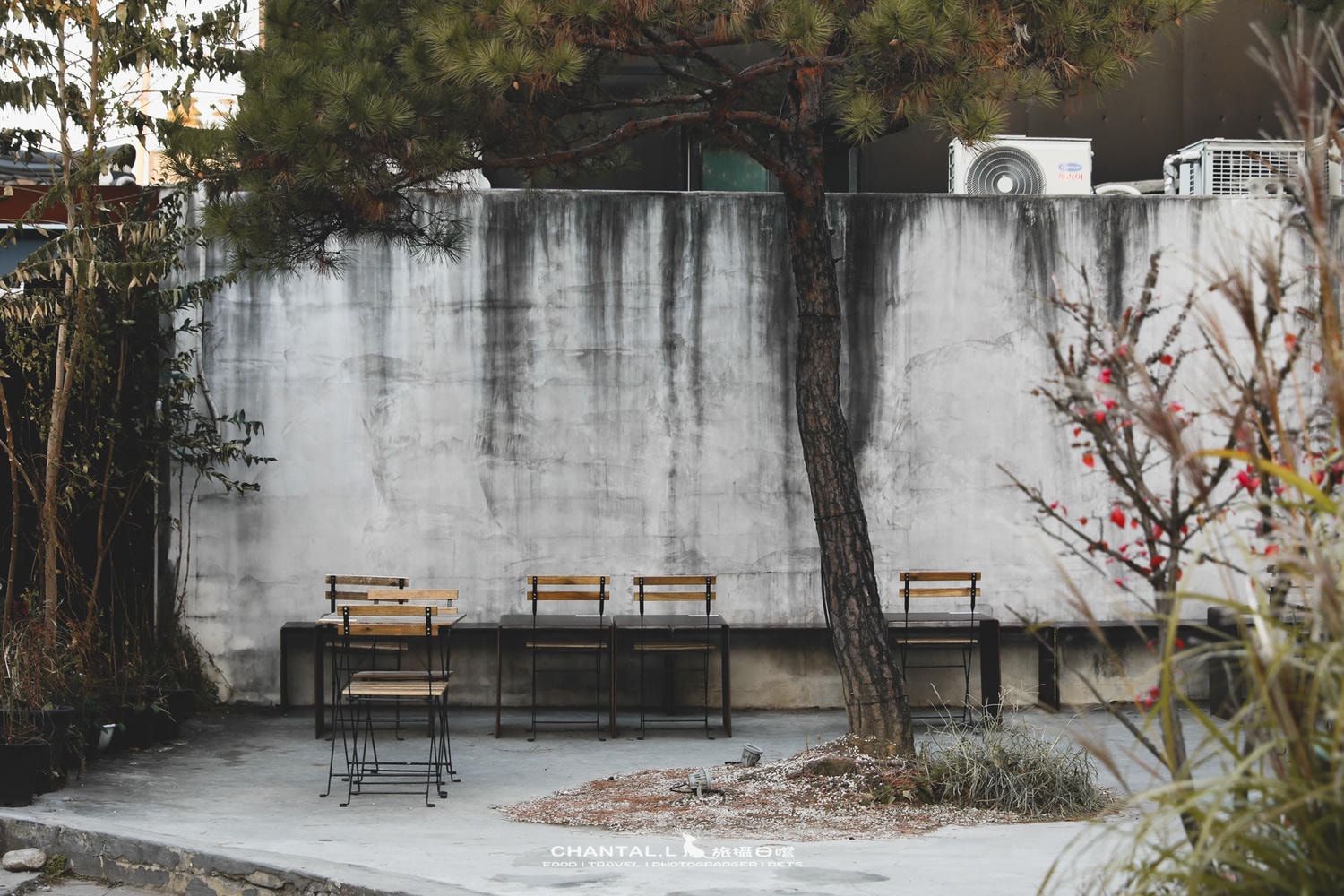 2023 SEOUL｜景福宮旁韓屋改建咖啡廳，首爾最有氛圍的早餐選擇之一 Onion Anguk