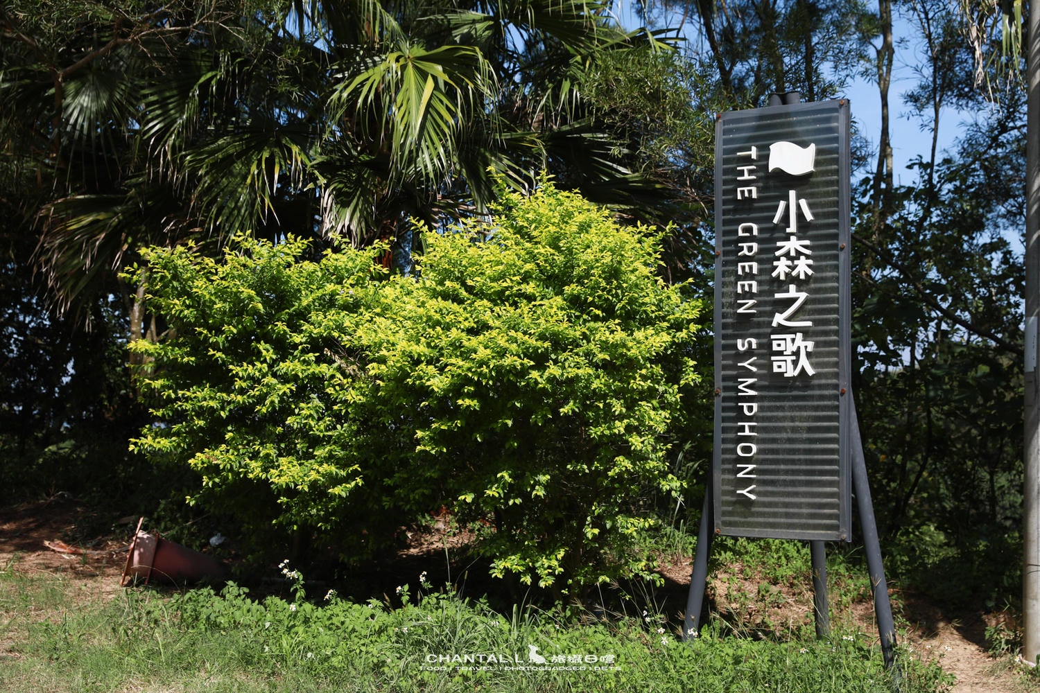 【芎林鄉/咖啡廳】大草皮＋林蔭大道，超適合帶狗的景觀咖啡廳-小森之歌+味衛佳柿餅教育農園