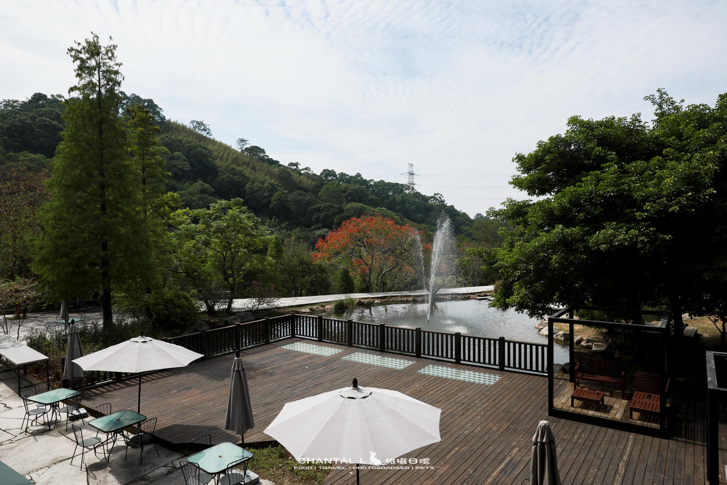 【芎林鄉/咖啡廳】大草皮＋林蔭大道，超適合帶狗的景觀咖啡廳-小森之歌+味衛佳柿餅教育農園