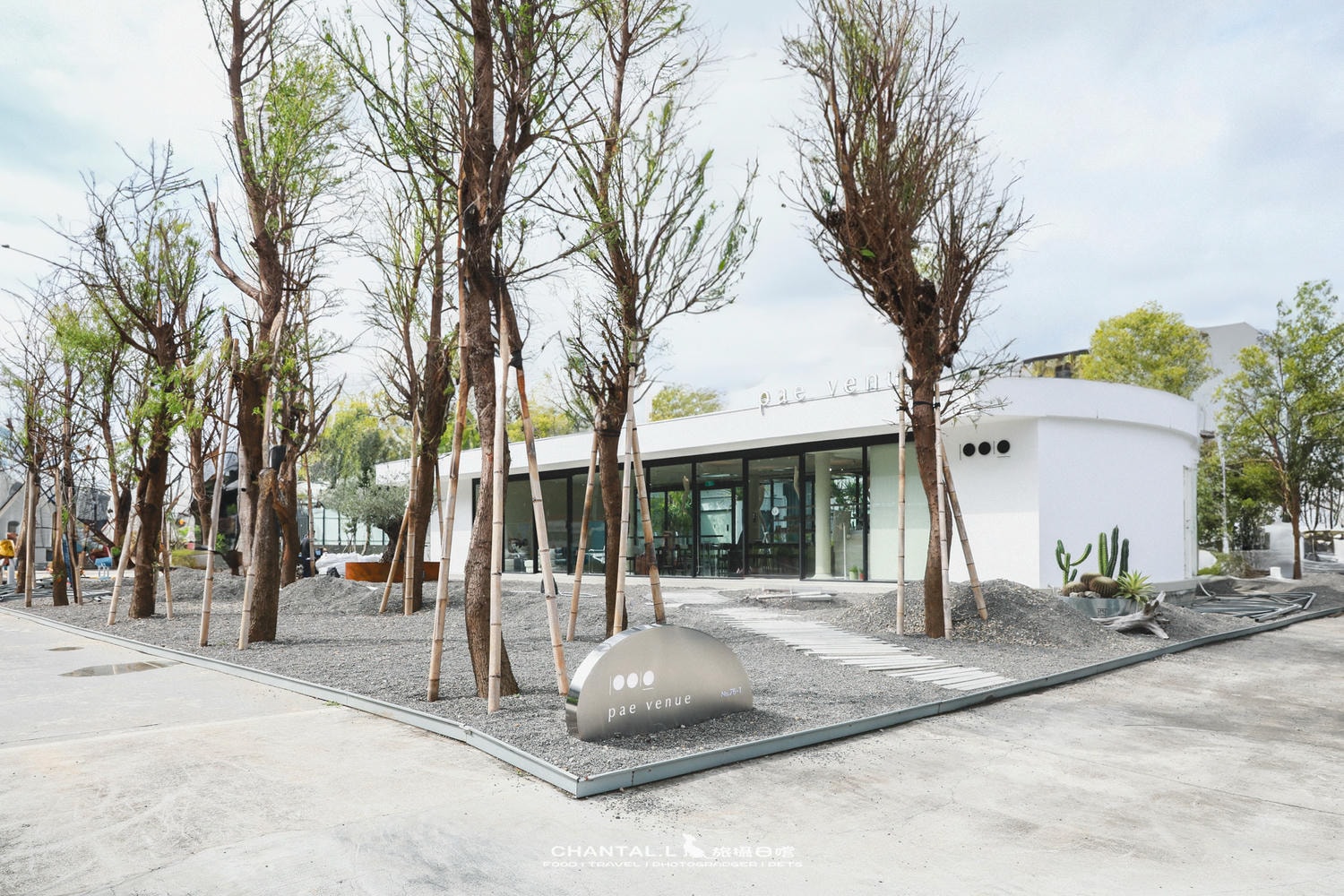 【林口/咖啡店】白色設計空間＋綠植環繞，不像在林口市區的寵物友善咖啡廳-胚 pae venue