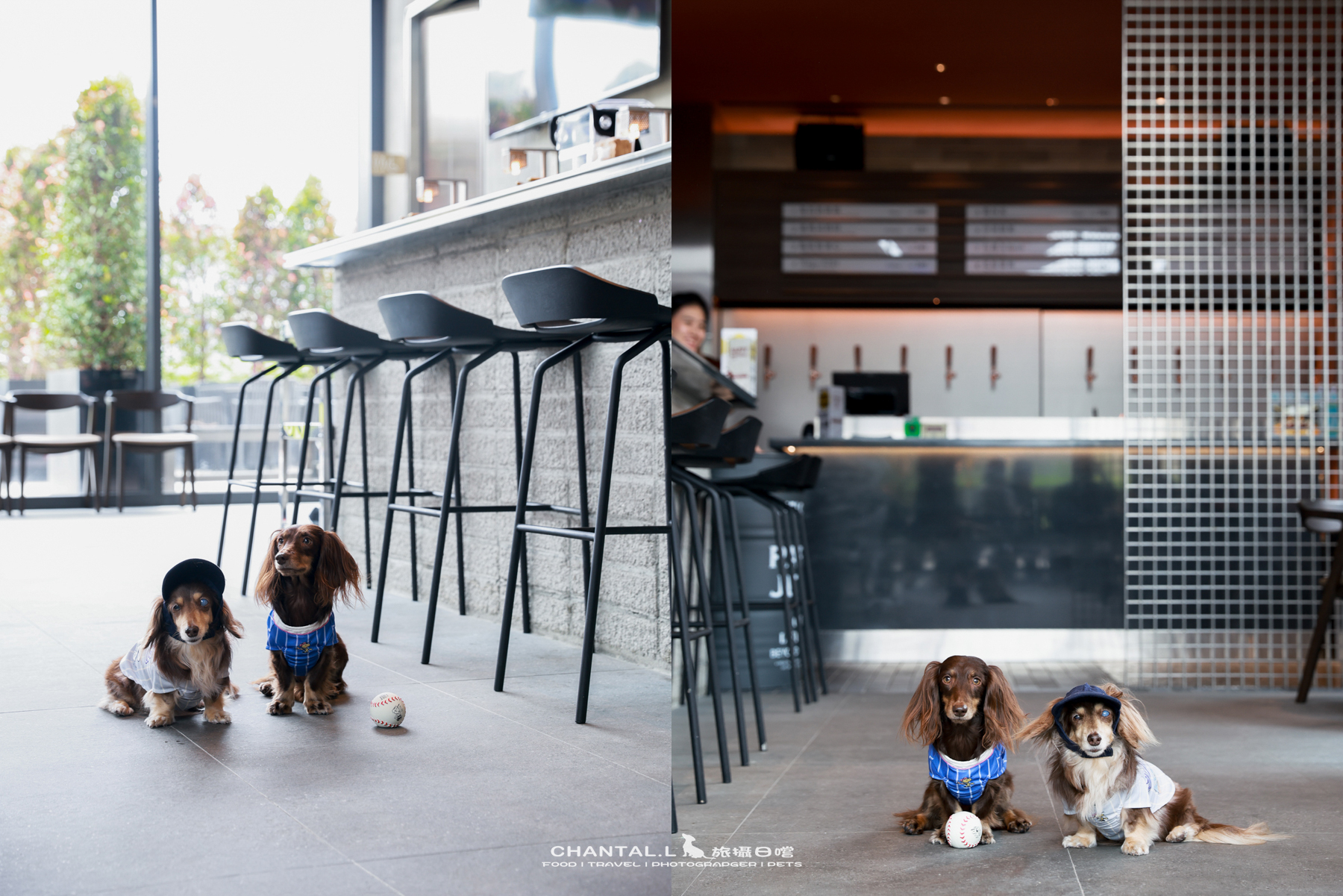 【中壢區/美食】  PARKJECT 趴街餐酒館｜工業風運動酒吧，樂天球場旁超有氛圍的寵物友善空間