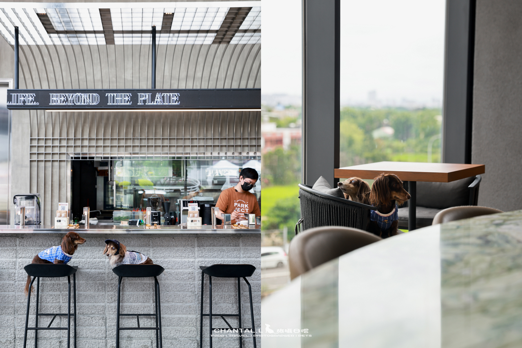【中壢區/美食】  PARKJECT 趴街餐酒館｜工業風運動酒吧，樂天球場旁超有氛圍的寵物友善空間