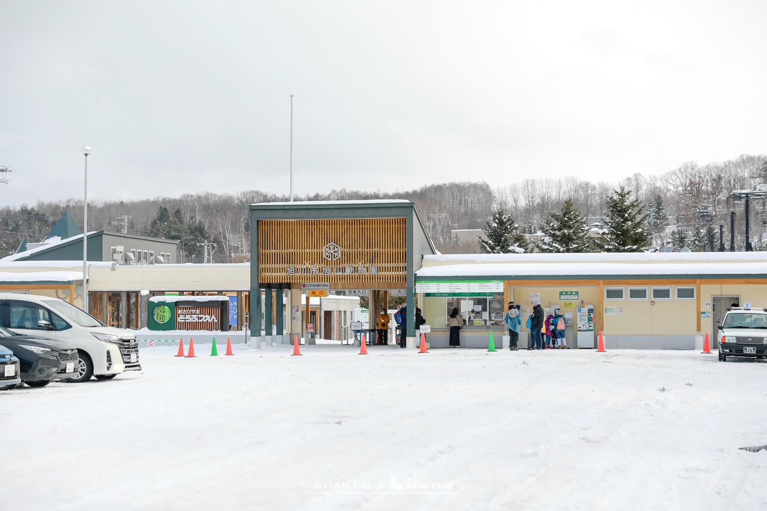 2024 北海道公路之旅 事隔四年二訪旭川動物園,實際體驗與再訪心得 - 第3張圖 2024 北海道公路之旅 事隔四年二訪旭川動物園,實際體驗與再訪心得