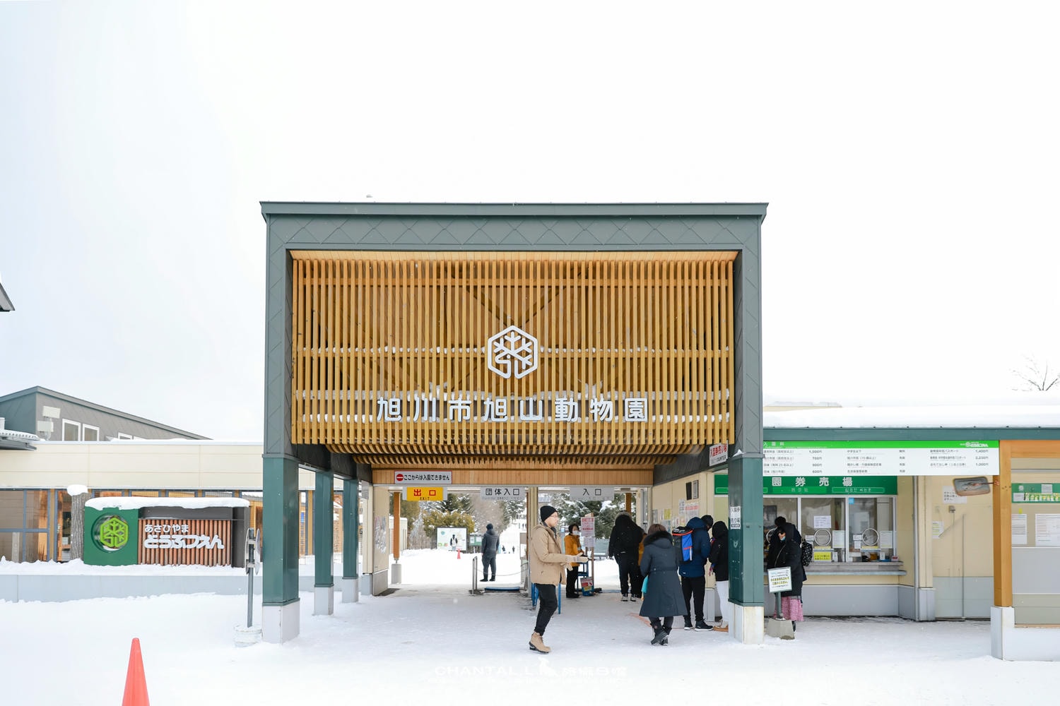 2024 北海道公路之旅  事隔四年二訪旭川動物園，實際體驗與再訪心得