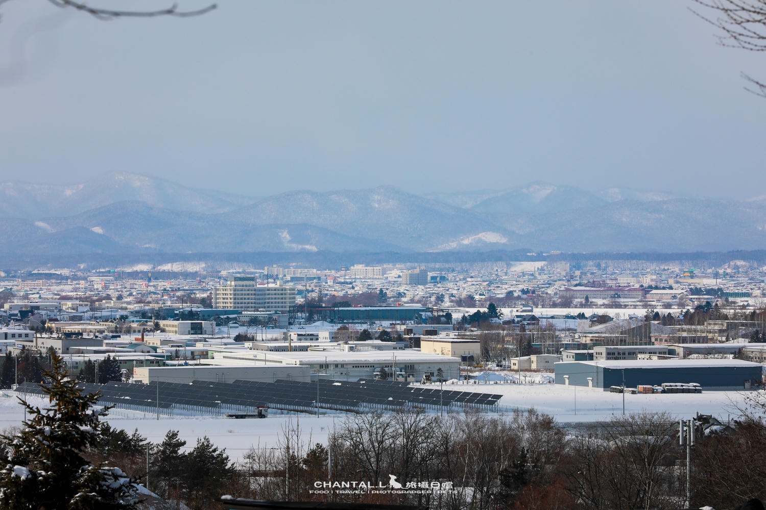 2024 北海道公路之旅  事隔四年二訪旭川動物園，實際體驗與再訪心得