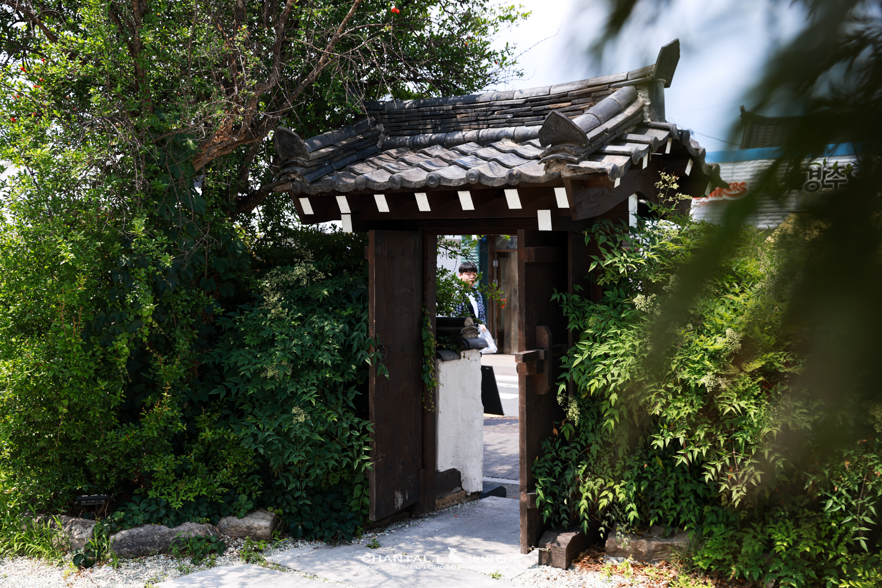 2026 Gyeongju｜連續5年藍絲帶推薦！韓屋裡的創意日式料理 RYOMI 료미