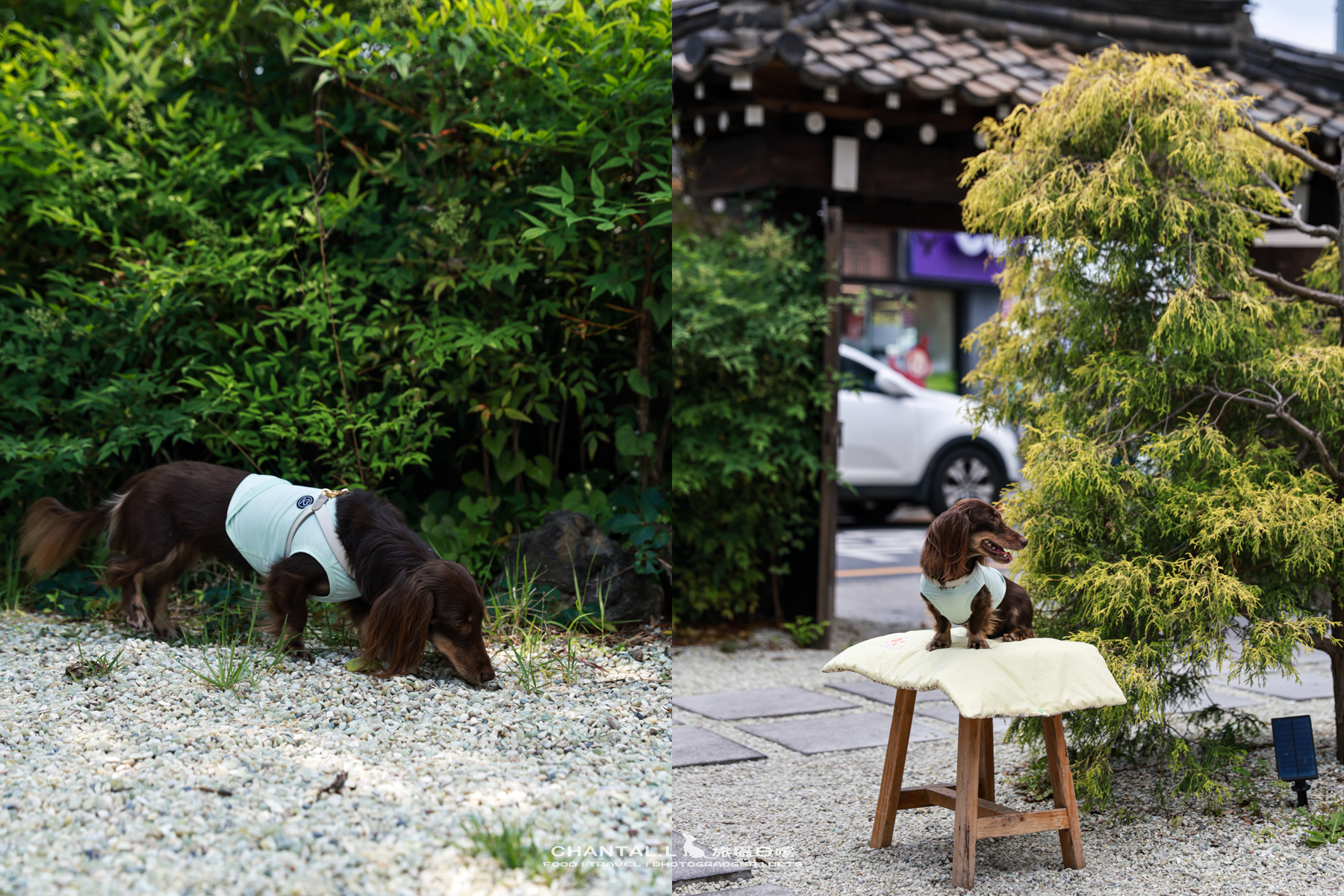 2026 Gyeongju｜連續5年藍絲帶推薦！韓屋裡的創意日式料理 RYOMI 료미