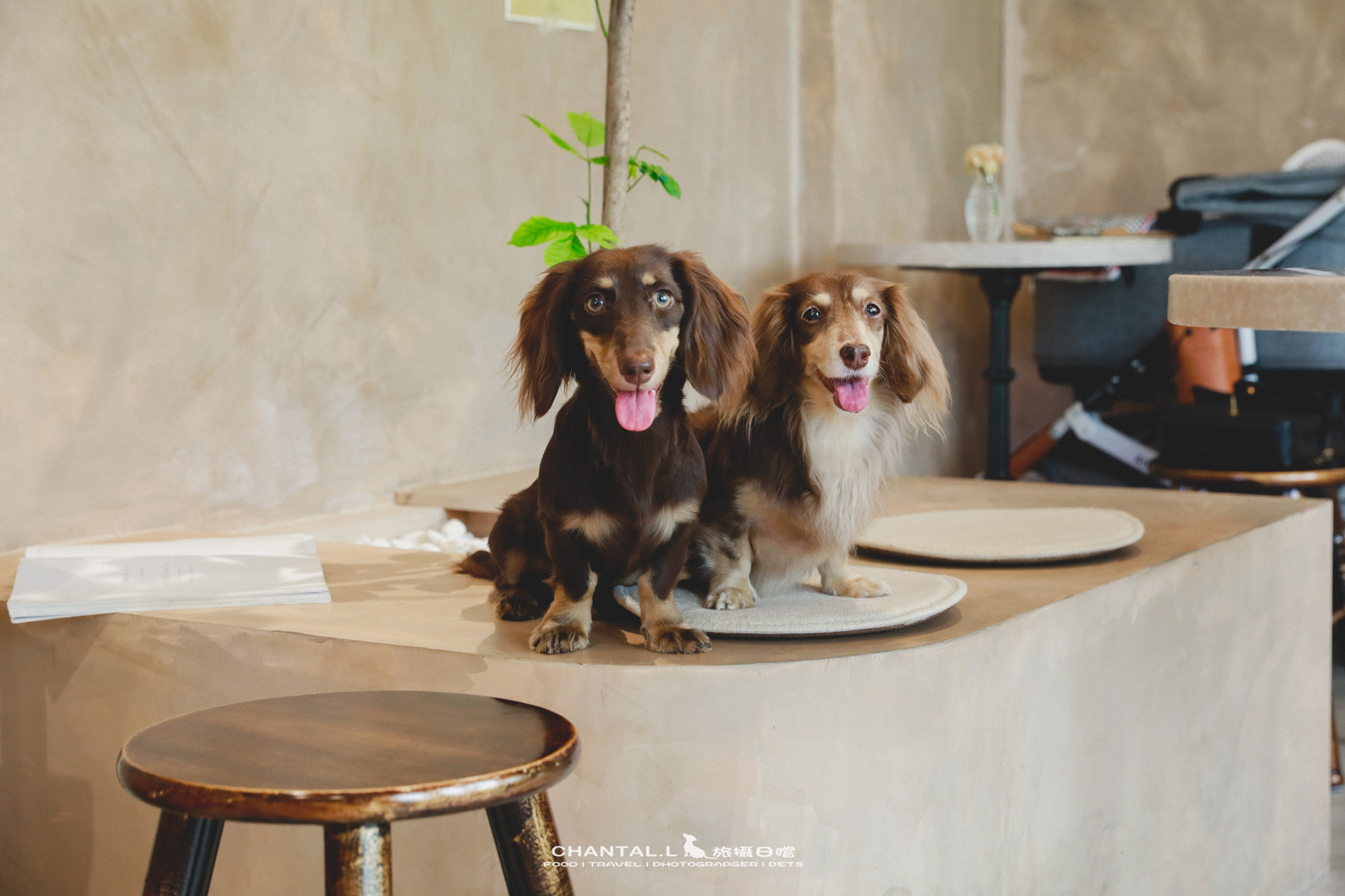 【鼓山區/咖啡店】讓人忍不住一直拍照的奶油色小屋 Bang Coffee 邦咖啡 （2025已歇業）
